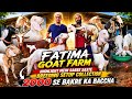 1999😱 Se Bakra🤯 Sabse Sasta Chanas Dhamaka Breeding Setup Looto || Fatima Goat Farm Mumbra Mumbai ||