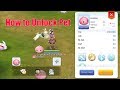 Ragnarok Eternal Love Mount Quest Guide
