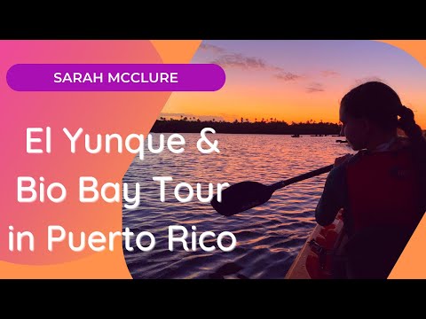 Video: Tham quan Vieques Biobay - Du lịch Puerto Rico