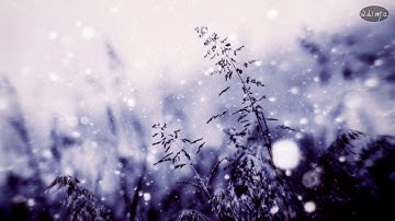Once Upon A Winter - Once Upon A Winter