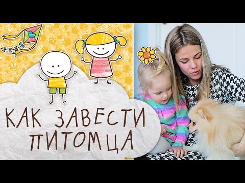 Домашние животные для детей: как завести питомца [Супермамы]