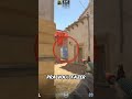 Molotov roubada L do tapete | #cs2 #counterstrike