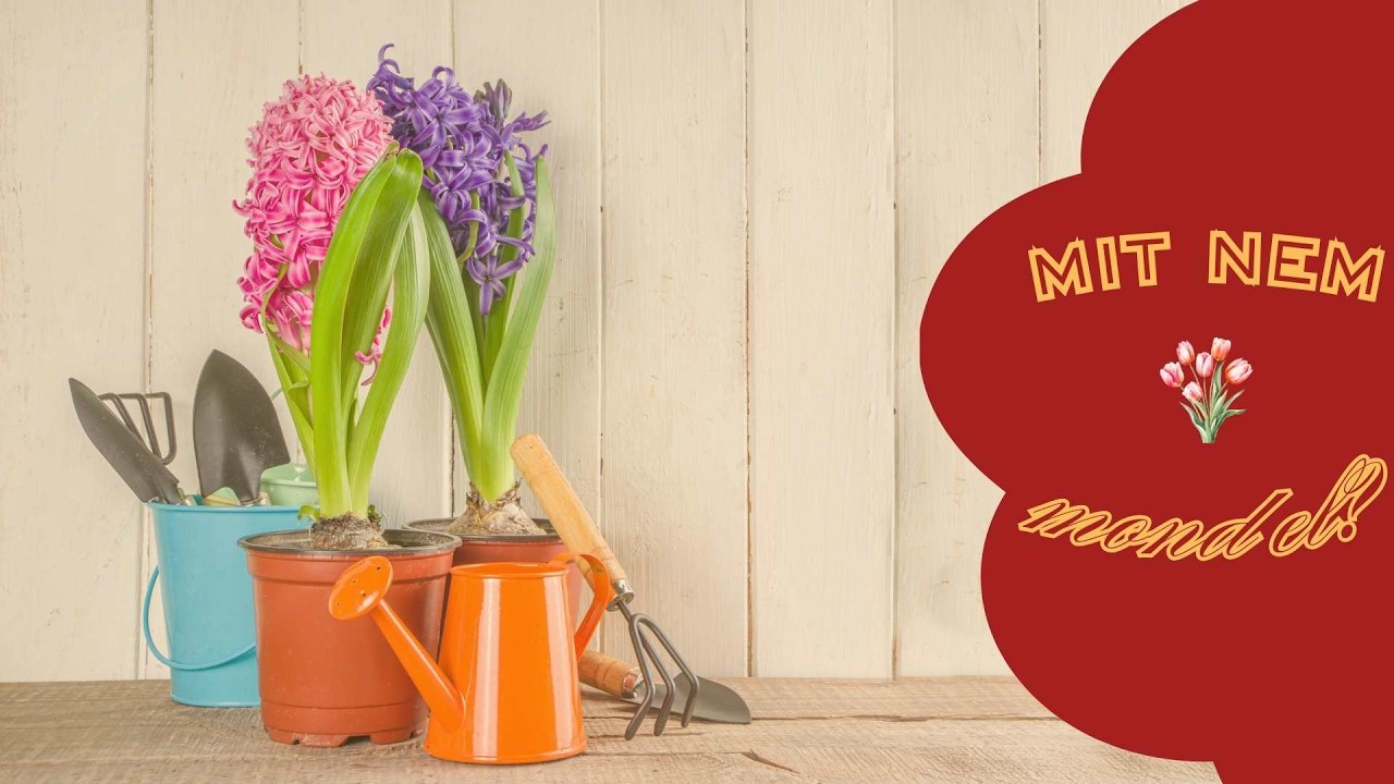 Maszk mögé bújok és úgy teszek, mintha nem érdekelne.     💔😯🤳  #like #mitnemmondel