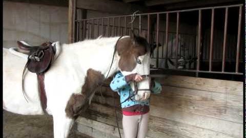 Valley View Ranch - Alfred -   ***For up-to-date info, price, etc., go to our website***