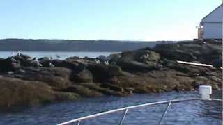 Entrance Island off NE tip of Gabriola, coming into Nanaimo