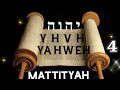 TORAH MESIANICA  MATTITYAH - 23 AL 28