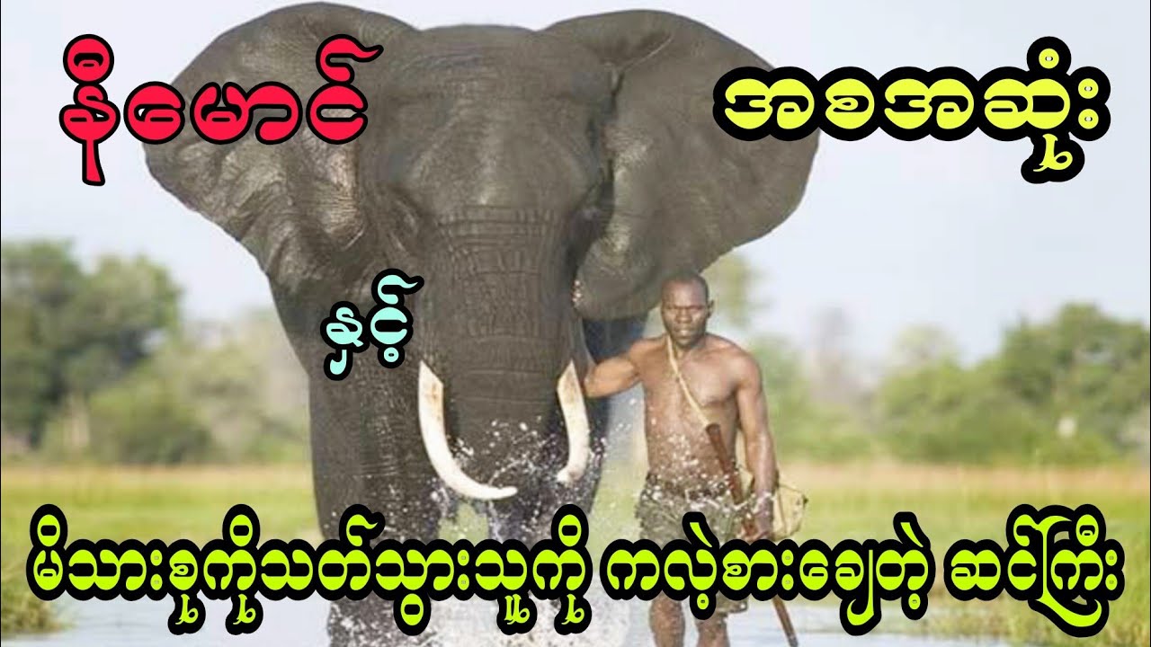 နီမောင် နှင့် မိသားစုကိုသတ်သွားသူကို ကလဲ့စားချေတဲ့ ဆင်ကြီး (အစအဆုံး)