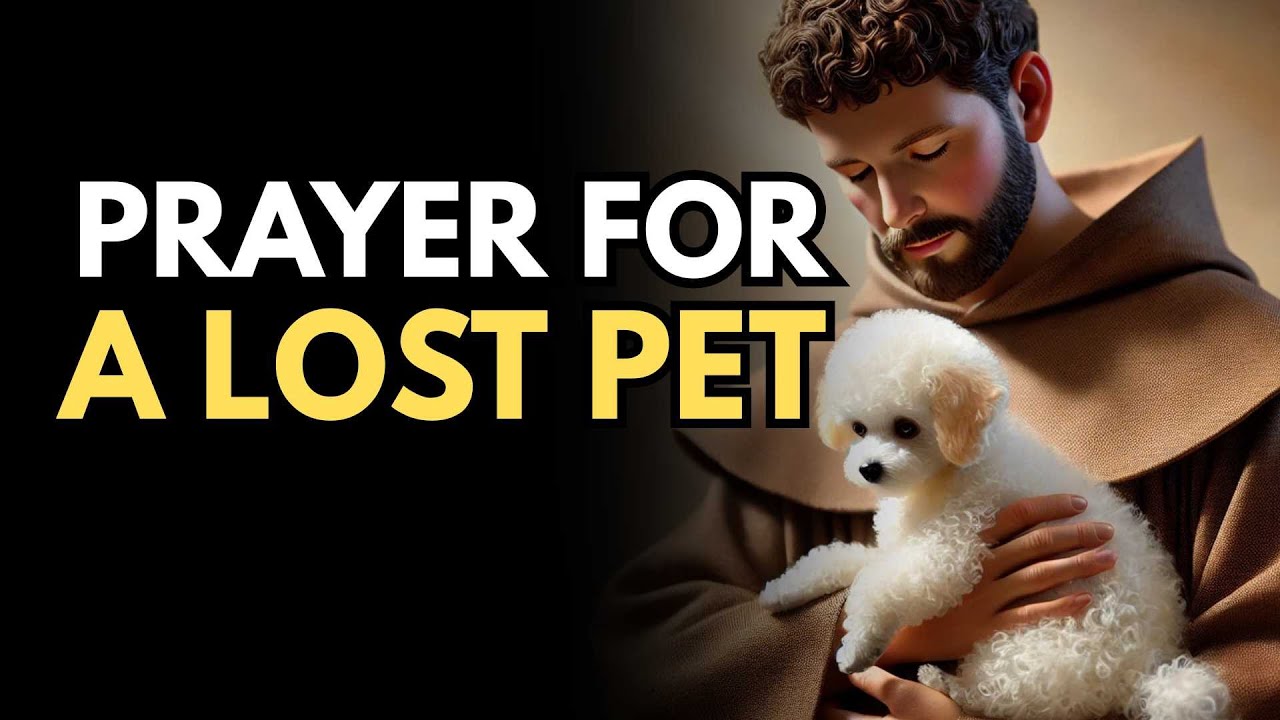 Powerful Prayer for a Lost Pet | Prayer to Saint Anthony