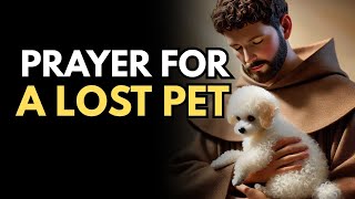 Powerful Prayer For A Lost Pet Prayer To Saint Anthony