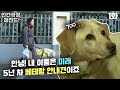 [인간극장 레전드 #71-1] 안녕! 내 이름은 미래🐶 5년 차 베테랑 안내견이죠🦮 | 미래야 학교 가자 (1/5)