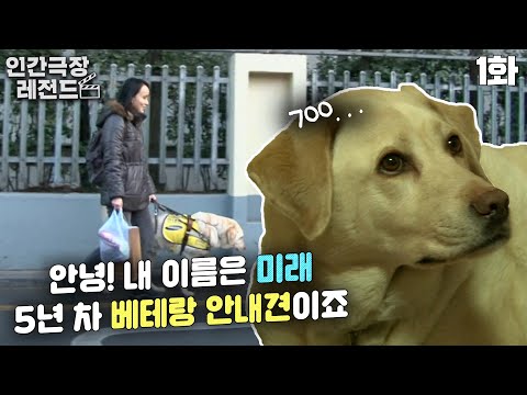 [인간극장 레전드 #71-1] 안녕! 내 이름은 미래🐶 5년 차 베테랑 안내견이죠🦮 | 미래야 학교 가자 (1/5)