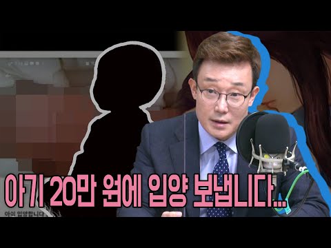 [<strong>이브닝쇼</strong>-승재현의 사건파일] 20만 원에 아이 입양 보냅니다...