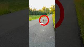 Two Baby Deer Hit And Run On The Cameraman