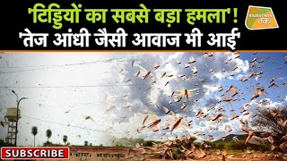 'BHARATPUR शहर पर भी टिड्डियों ने धावा बोला, तो घरों में दुबके लोग'! | LOCUST ATTACK | screenshot 5