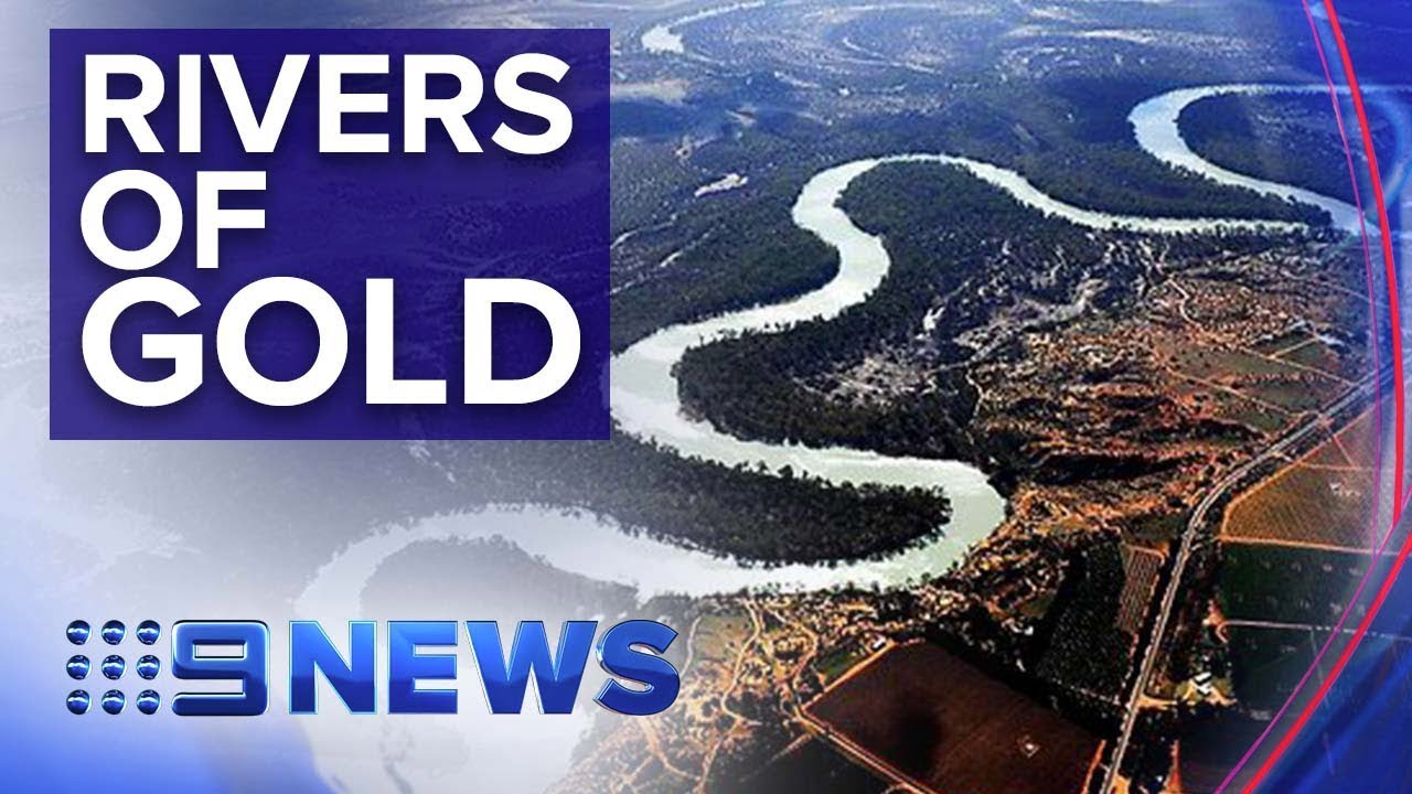 Corporate investors making huge profits from water, while farmers go broke | Nine News Australia