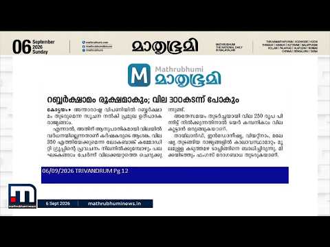 റബർ വില 350 രൂപയിലേക്ക് ഉയരുമെന്ന് ലോകബാങ്ക്; വിപണിയിലെ തടസ്സങ്ങൾ കർഷകർക്ക് തിരിച്ചടി