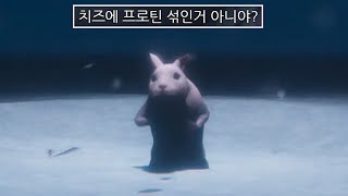 미치광이 실험실 쥐 공포게임 screenshot 5