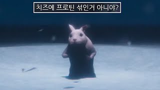 미치광이 실험실 쥐 공포게임