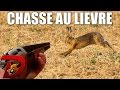 Chasse petit gibier en plaine