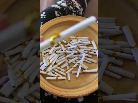 اعقدي نيا وانوي بوقالات جزائرية Shorts