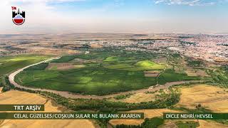 Diyarbakır Türküleri - Celal Güzelses - Coşkun Sular Ne Bulanık Akarsın - (Trt Arşiv)