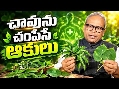 చావును చంపేసే ఆకులు? కిడ్నీ సమస్యలకు ఇవి ఎలా ఉపయోగపడతాయి? | Kidney Health | SumanTV