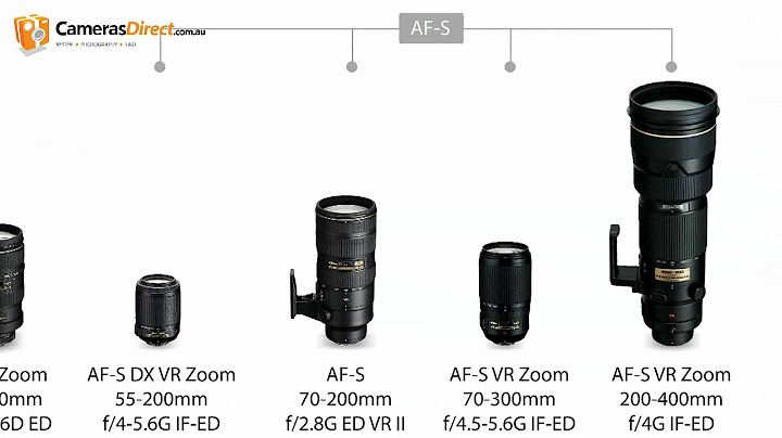 Đánh giá lens 80-400 nikon năm 2024