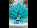 Beautiful Color Surprise! 🦚✨ Wait for 3..2..1! Guess Who #GuessTheAnimal #Mor #Peacock #CutePeacock