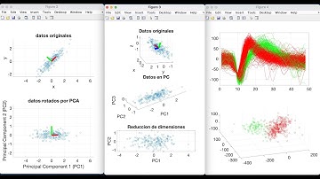 Introducción a la Programación en Matlab 2021 (Clase 11)