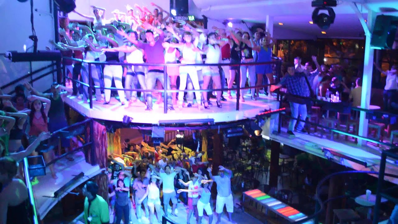 DISCOTECA EL BOSQUE discoteca el bosque: