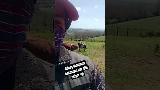 köyümde köyüm. #shorts #köydeyaşam#köyhayatı#köy#köyüm#karadeniz#karadenizfirtinasi#blacksea#köylü