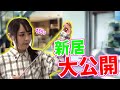 【お部屋紹介】一人暮らし女子の新居を初公開！【フィギュア】