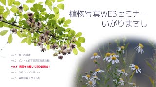 いがりまさし植物写真WEBセミナーvol.3　構図を攻略して初心者脱出！