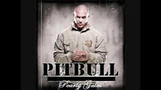 Pitbull ft. Nayer ~ Pearly Gates HD