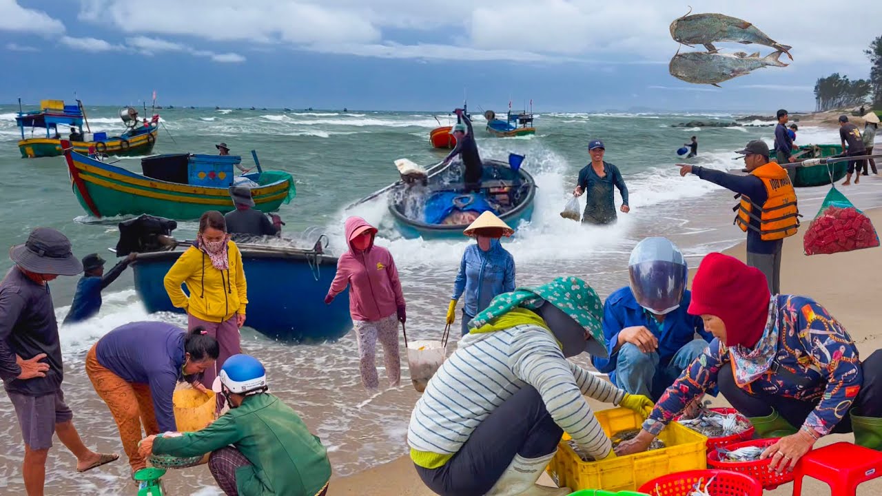 Đầu Mùa Gió Tây Nam Ở Bình Thuận║Cà Ri Cá Đuối Nghệ Thưởng Thức Cùng Gia Đình