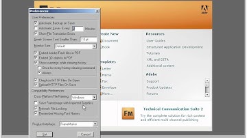 Adobe FrameMaker: 04 - Switch Interfaces