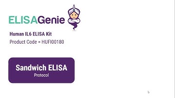 Human IL6 ELISA Kit