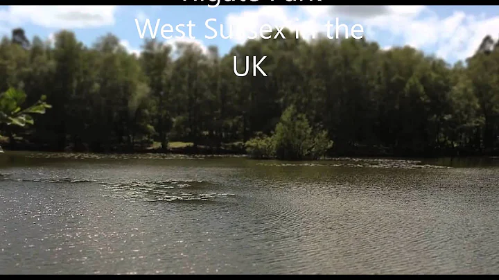 Jamie pond in Rise of the Heron