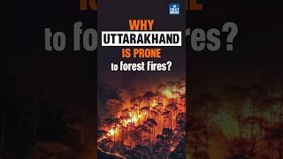 Uttarakhand Forest Fire : Why is Nainital Burning? | UPSC Current Affairs 2024