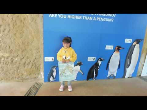 Zoo de Barcelona//ბარსელონის ზოოპარკი