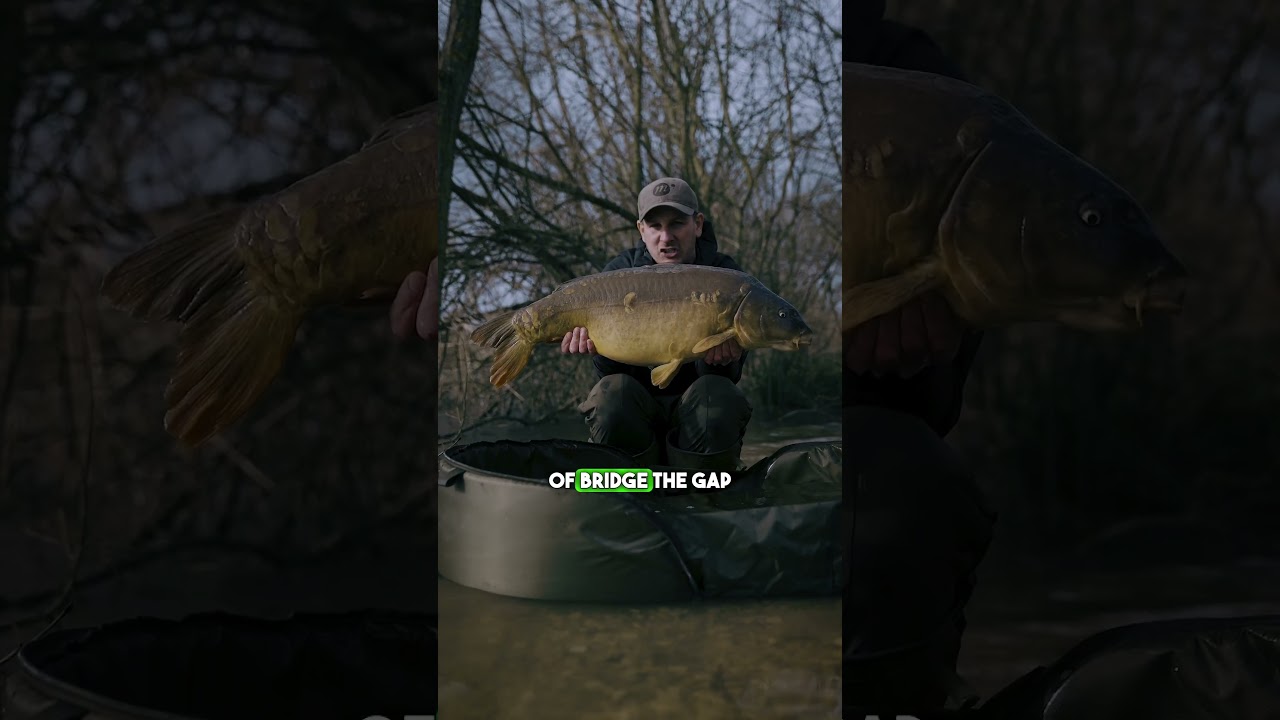 Kaizen Green - 12FT - 4LB