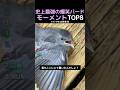 史上最強の爆笑バードモーメントTOP8