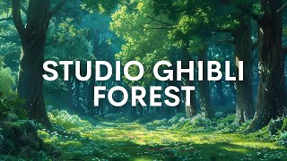 STUDIO GHIBLI Forest (Music & Ambience)