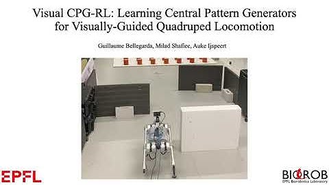 Visual CPG-RL: Learning Central Pattern Generators for Visually-Guided Quadruped Locomotion