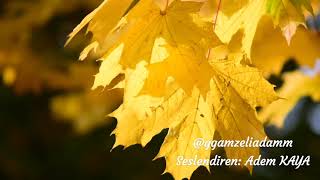 Kırgınım Sadece... (Şiir) - Adem Kaya