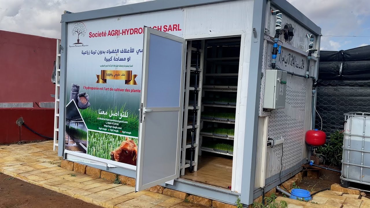 الاستنبات الذكي..هكذا تمكن مزارع  من إنتاج 350كلغ يوميا من الشعير في غرفة لاتتعدى 12 متر مربع