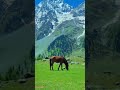 Pucho Zara Pucho ! #song #hindisong #travel #trending #traveling #ytshort #viralshorts #yotubeshorts