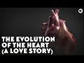 The Evolution of the Heart (A Love Story)