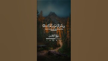 أكتب شيء تؤجر عليه🤍 سورة الناس بصوت القارئ هزاع البلوشي 🤍🍃🍂 #قرآن #هزاع_البلوشي
