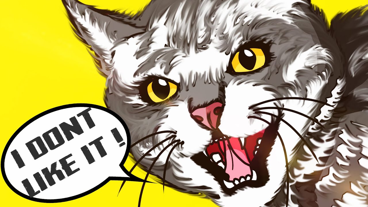 10 Human Habits Cats HATE